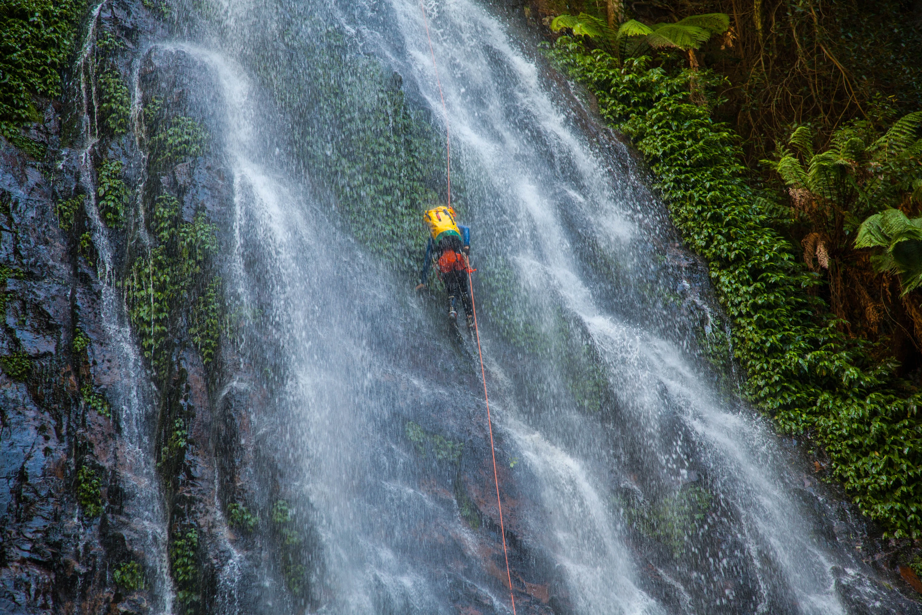 Expedition